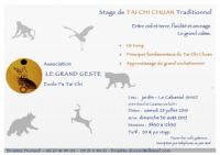 Stage de Tai Chi Chuan traditionnel. Le samedi 25 juillet 2015 au Cabanial. Haute-Garonne.  09H30
